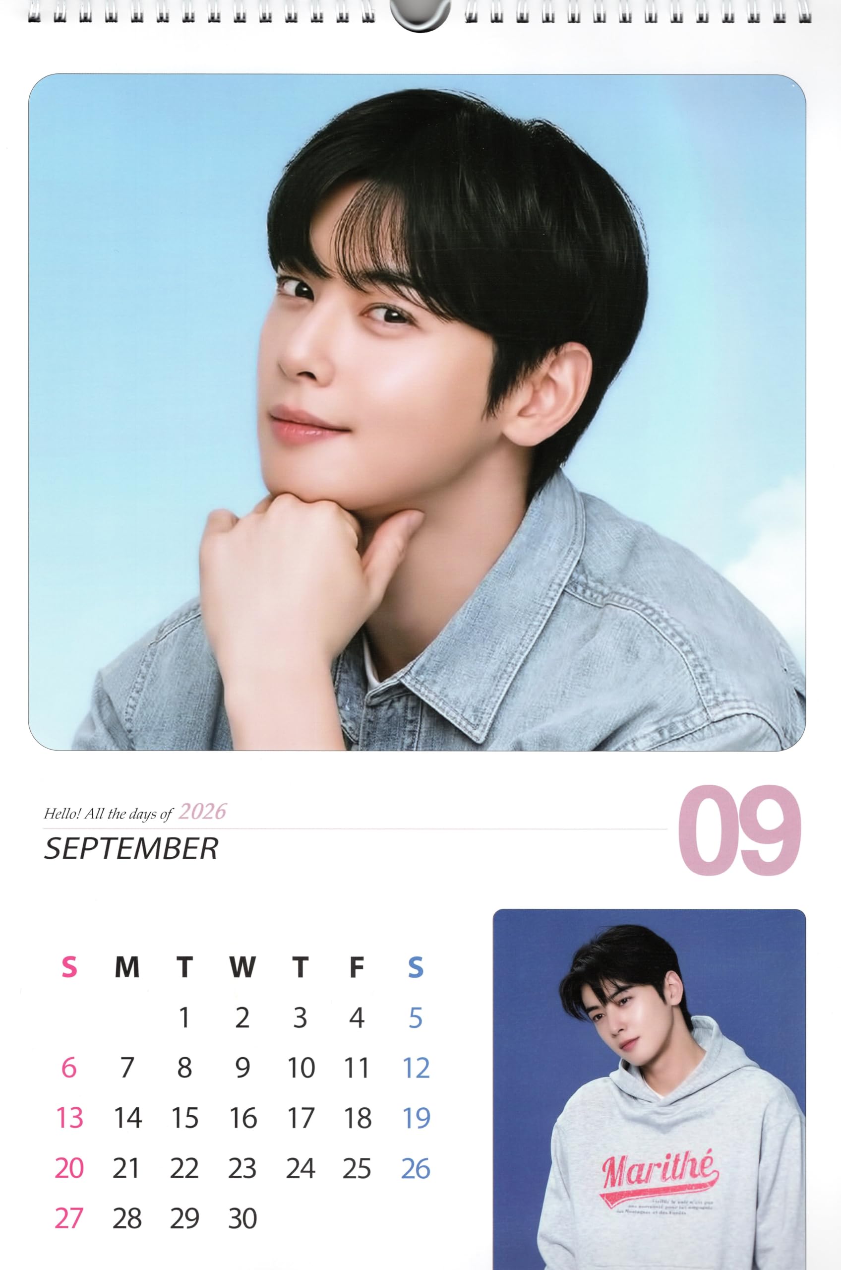 Amazon.co.jp: チャウヌ グッズ 大判 壁掛け カレンダー 2026年 (令和8